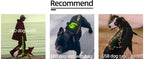 12-Mode LED Dog Harness, Rechargeable Color Changing Pet Vest with Light Strip, Adjustable & Breathable High Visibility Safety Harness for Small Medium Large Dogs, Perfect for Night Walking & Outdoor Activities