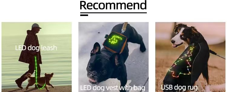 12-Mode LED Dog Harness, Rechargeable Color Changing Pet Vest with Light Strip, Adjustable & Breathable High Visibility Safety Harness for Small Medium Large Dogs, Perfect for Night Walking & Outdoor Activities