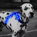 12-Mode LED Color Changing Pet Harness - Rechargeable & Adjustable