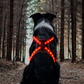 12-Mode LED Dog Harness, Rechargeable Color Changing Pet Vest with Light Strip, Adjustable & Breathable High Visibility Safety Harness for Small Medium Large Dogs, Perfect for Night Walking & Outdoor Activities
