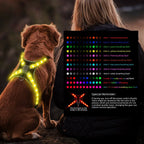 12-Mode Color Changing Dog Harness with LED Light Strip - USB Rechargeable, High Visibility Safety Vest for Night Walking, Running & Camping