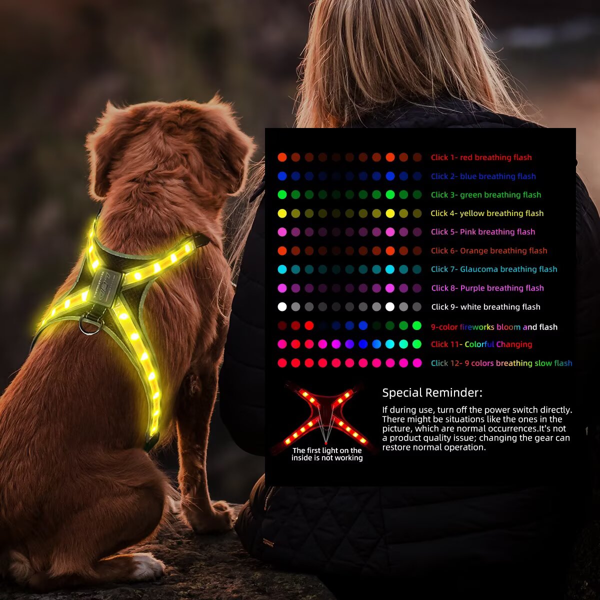 12-Mode Color Changing Dog Harness with LED Light Strip - USB Rechargeable, High Visibility Safety Vest for Night Walking, Running & Camping