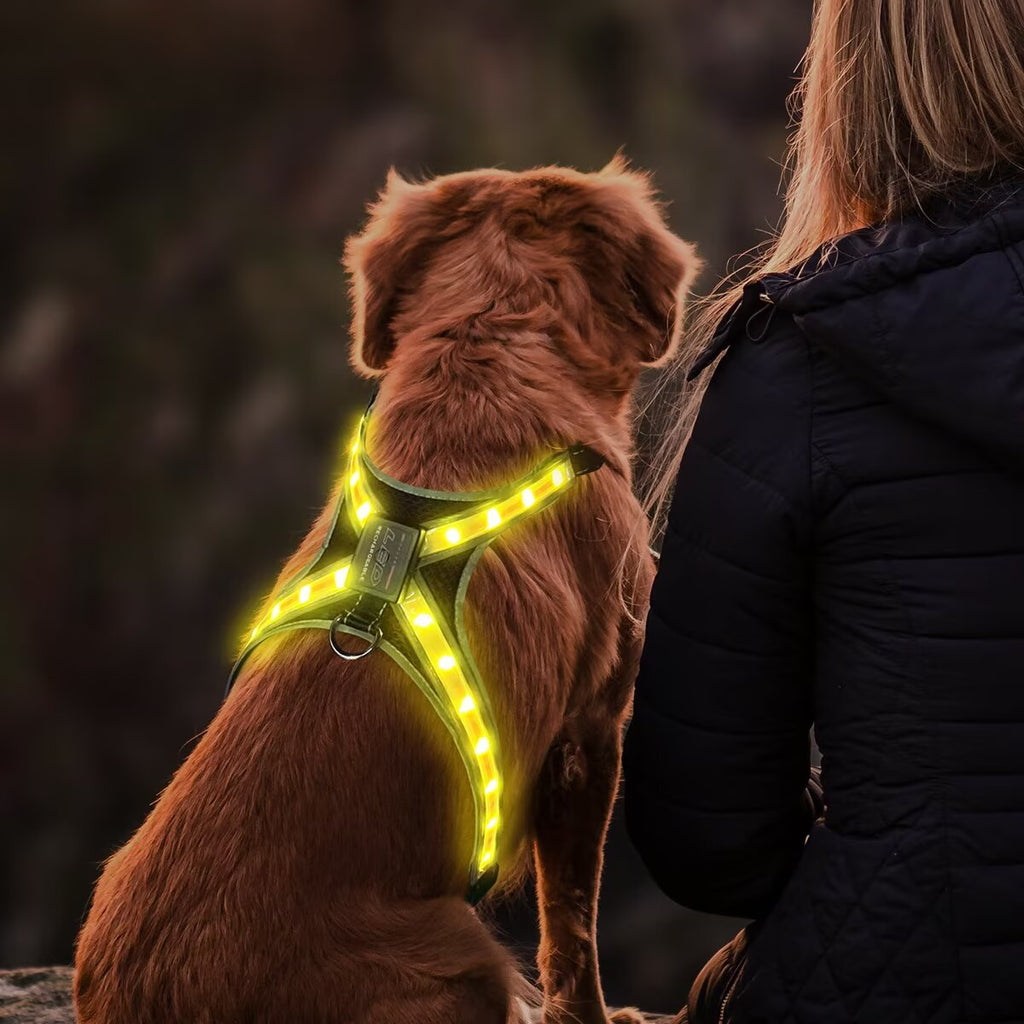 12-Mode Color Changing Dog Harness with LED Light Strip - USB Rechargeable, High Visibility Safety Vest for Night Walking, Running & Camping