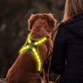 12-Mode Color Changing Dog Harness with LED Light Strip - USB Rechargeable, High Visibility Safety Vest for Night Walking, Running & Camping