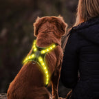 12-Mode Color Changing Dog Harness with LED Light Strip - USB Rechargeable, High Visibility Safety Vest for Night Walking, Running & Camping