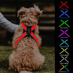 Wholesale 12-Color Changing Fiber Optic LED Dog Leash - High-Visibility Active Safety Pet Lead, Low MOQ 100pcs