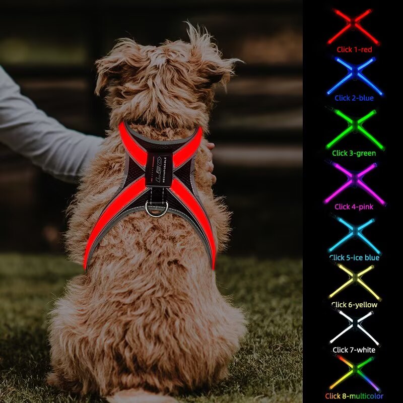 Wholesale 12-Color Changing Fiber Optic LED Dog Leash - High-Visibility Active Safety Pet Lead, Low MOQ 100pcs