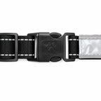 Multicolor LED Dog Harness for Night Walks